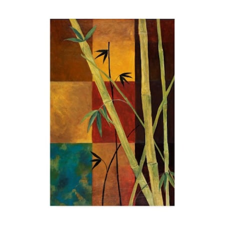 Pablo Esteban 'Bamboo Chutes On Squares' Canvas Art,30x47